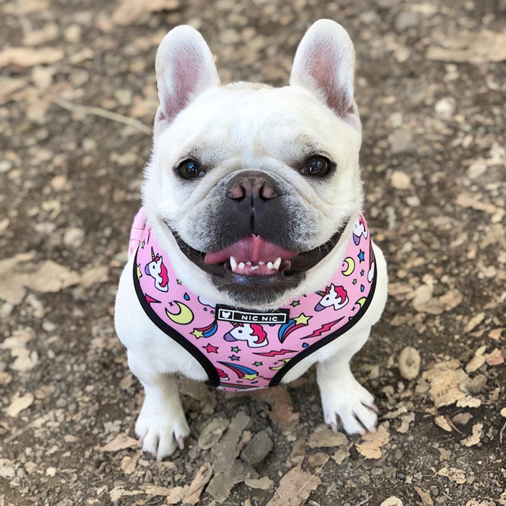 Tropical Vest Harness Leash Set for Small Medium Dogs
