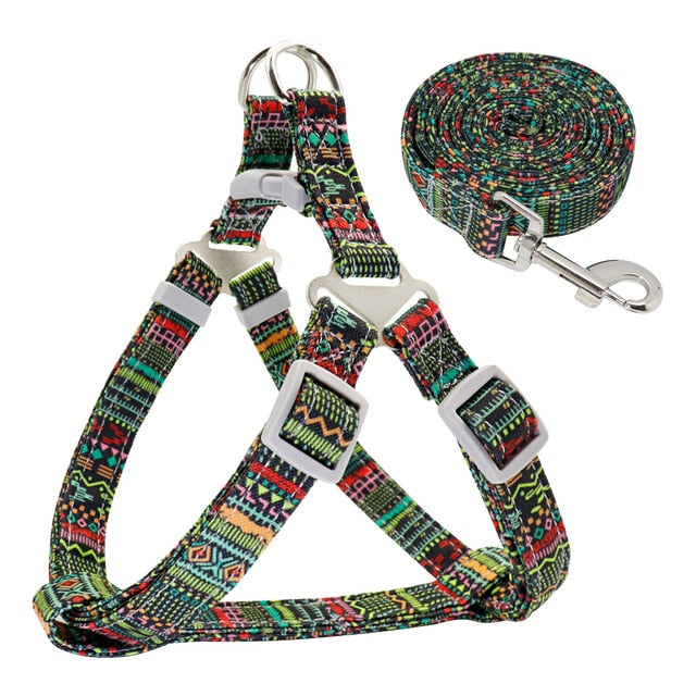 Colorful Adjustable Nylon Dog Harness Leash Set