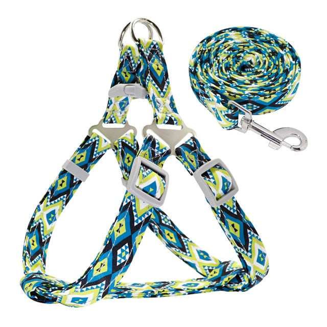 Colorful Adjustable Nylon Dog Harness Leash Set