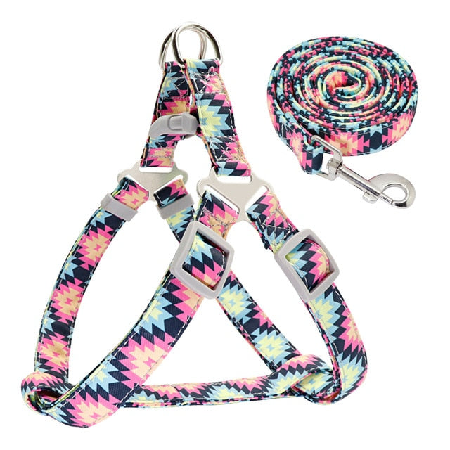 Colorful Adjustable Nylon Dog Harness Leash Set