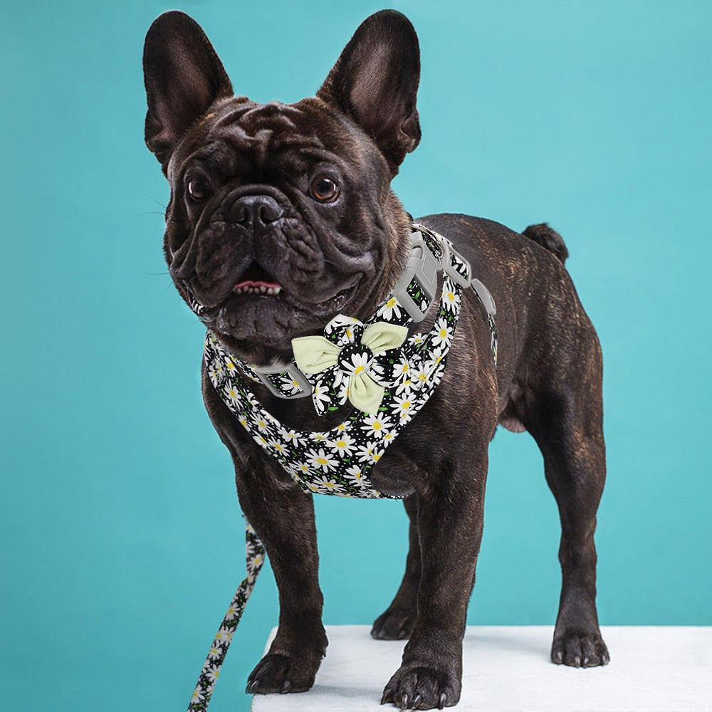 3pc Set Flower Print Harness Leash And Collar