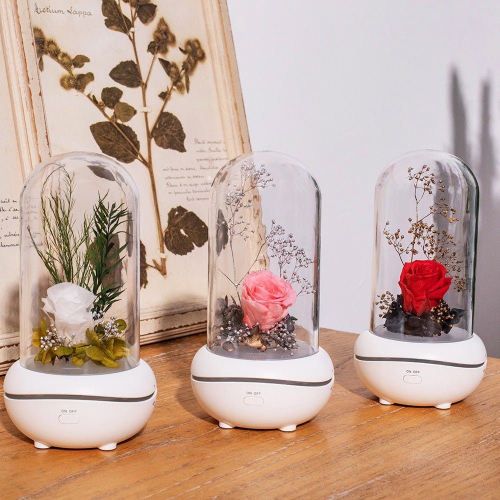 Eternal Rose Dome Fragrance Essential Oil Lamp Gift Light Decor