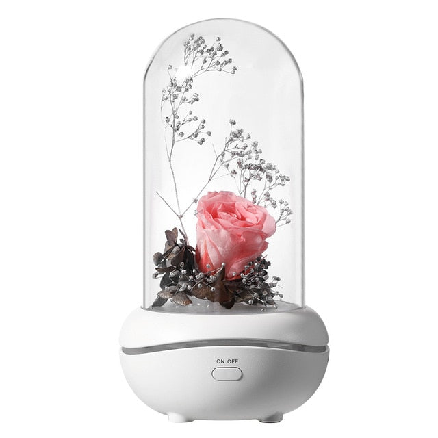 Eternal Rose Dome Fragrance Essential Oil Lamp Gift Light Decor