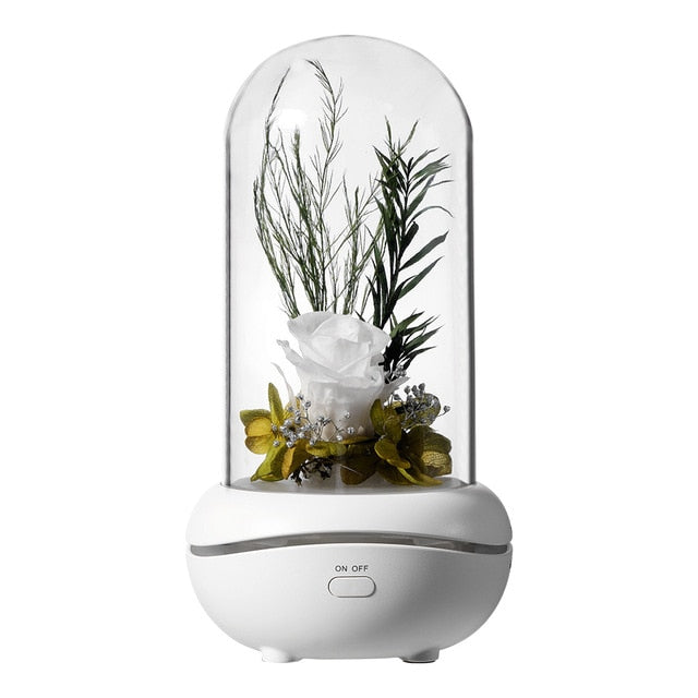 Eternal Rose Dome Fragrance Essential Oil Lamp Gift Light Decor
