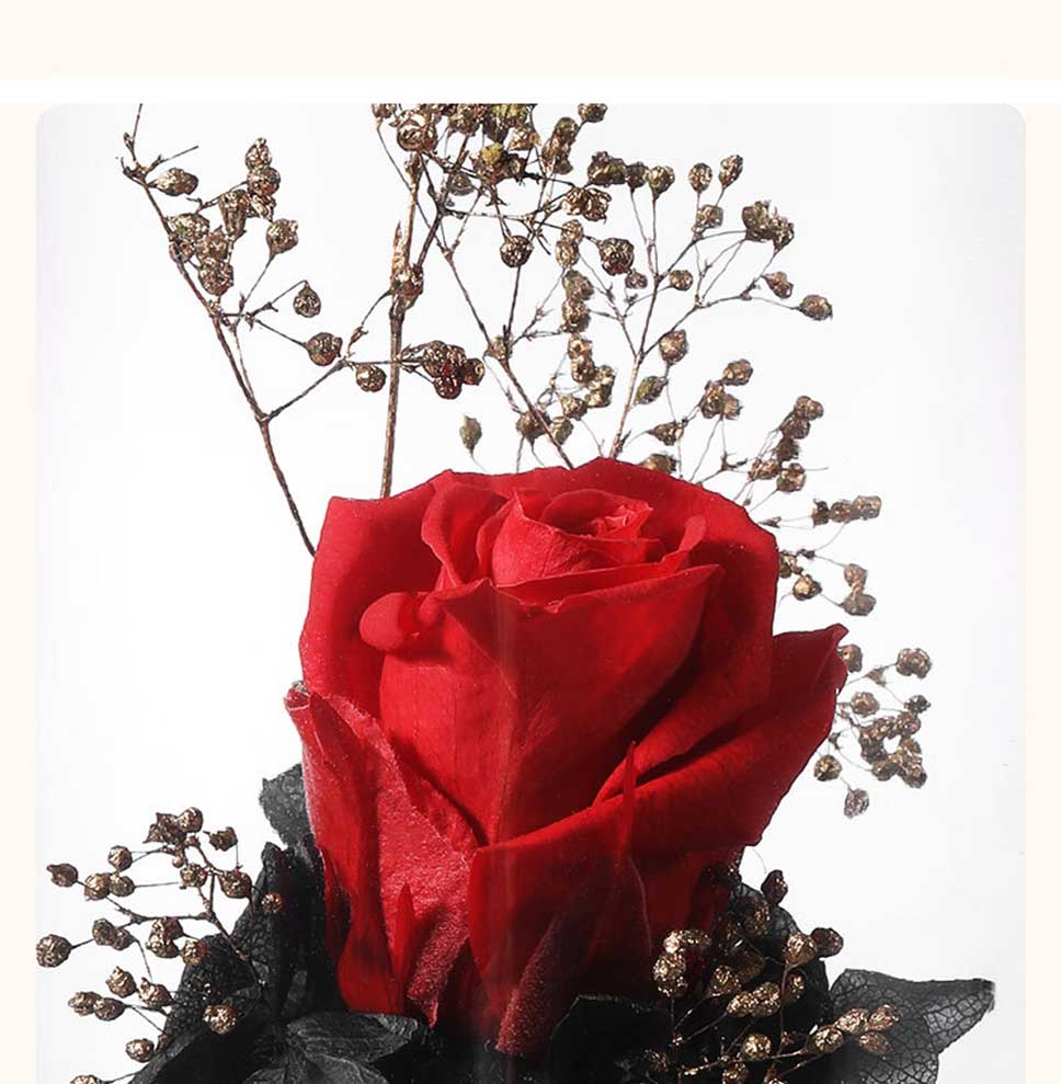 Eternal Rose Dome Fragrance Essential Oil Lamp Gift Light Decor