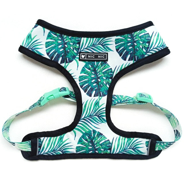 Tropical Vest Harness Leash Set for Small Medium Dogs