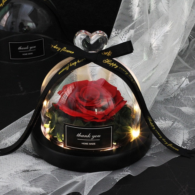 Rainbow Glass Dome Rose LED Beauty Beast Preserved Rose