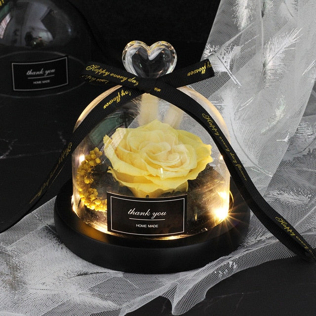 Rainbow Glass Dome Rose LED Beauty Beast Preserved Rose