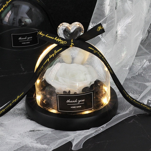 Rainbow Glass Dome Rose LED Beauty Beast Preserved Rose