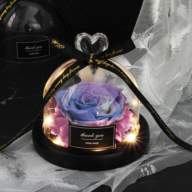 Rainbow Glass Dome Rose LED Beauty Beast Preserved Rose