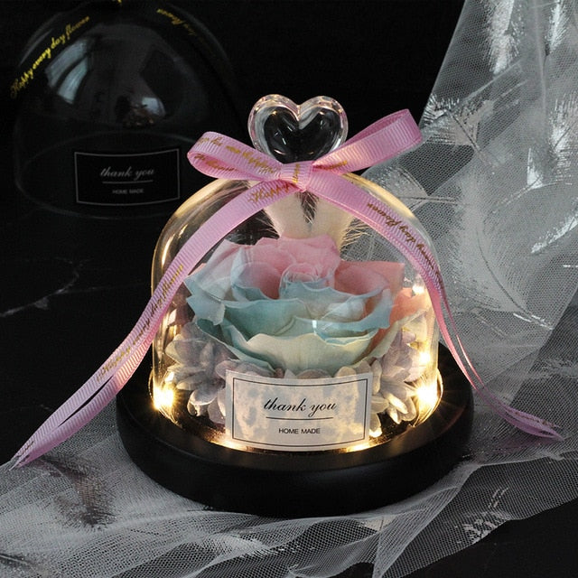 Rainbow Glass Dome Rose LED Beauty Beast Preserved Rose