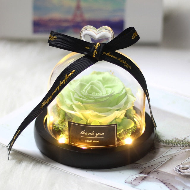 Rainbow Glass Dome Rose LED Beauty Beast Preserved Rose