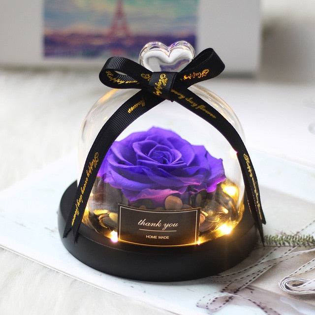 Rainbow Glass Dome Rose LED Beauty Beast Preserved Rose