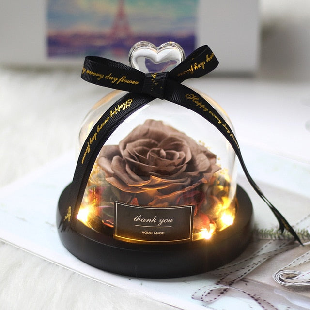 Rainbow Glass Dome Rose LED Beauty Beast Preserved Rose