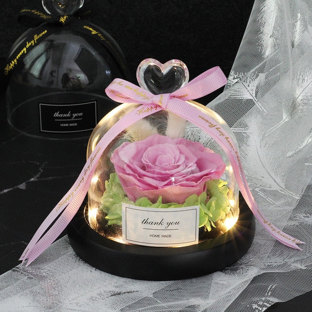 Rainbow Glass Dome Rose LED Beauty Beast Preserved Rose