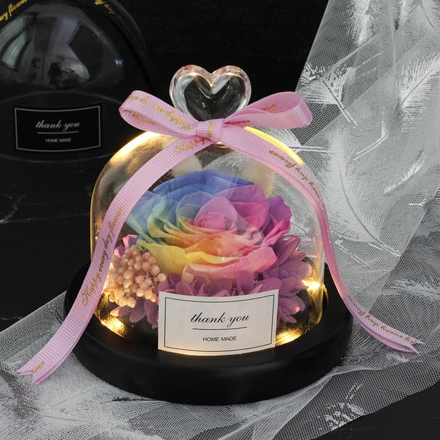 Rainbow Glass Dome Rose LED Beauty Beast Preserved Rose