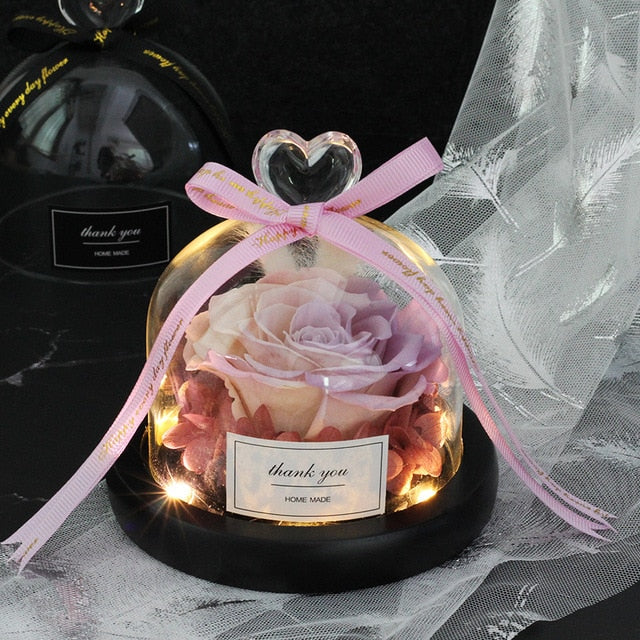 Rainbow Glass Dome Rose LED Beauty Beast Preserved Rose