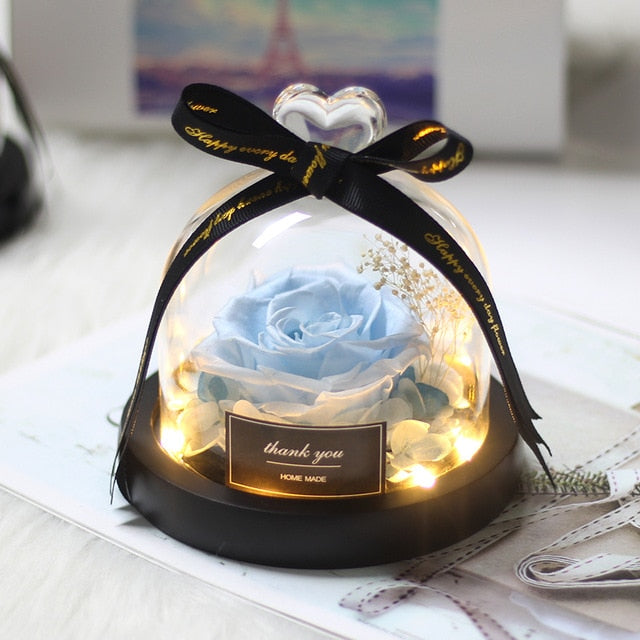 Rainbow Glass Dome Rose LED Beauty Beast Preserved Rose
