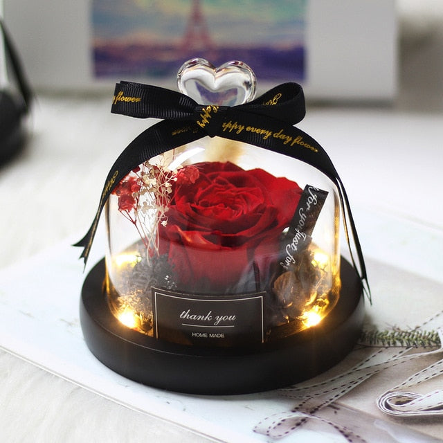 Rainbow Glass Dome Rose LED Beauty Beast Preserved Rose
