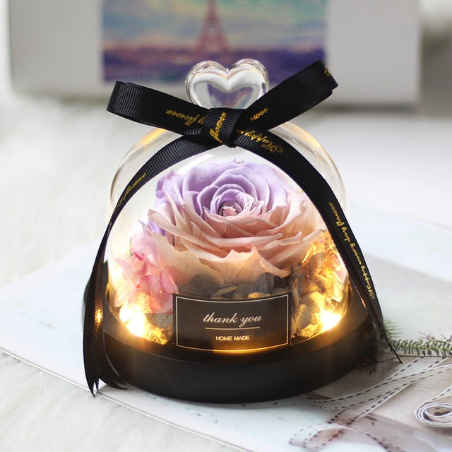 Rainbow Glass Dome Rose LED Beauty Beast Preserved Rose