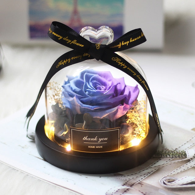 Rainbow Glass Dome Rose LED Beauty Beast Preserved Rose