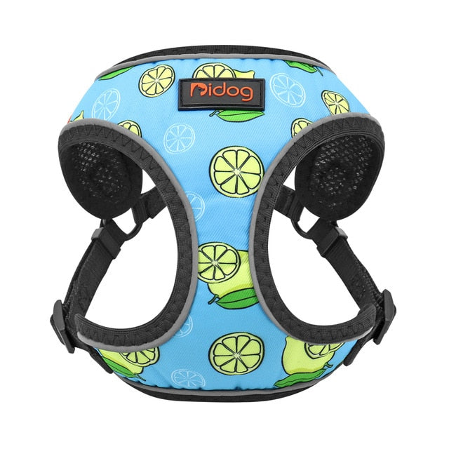 Watermelon Reflective Dog Vest Harness