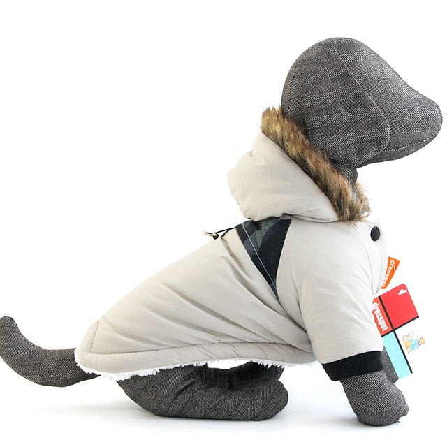Warm Winter Waterproof Jacket For Small Pet Dog