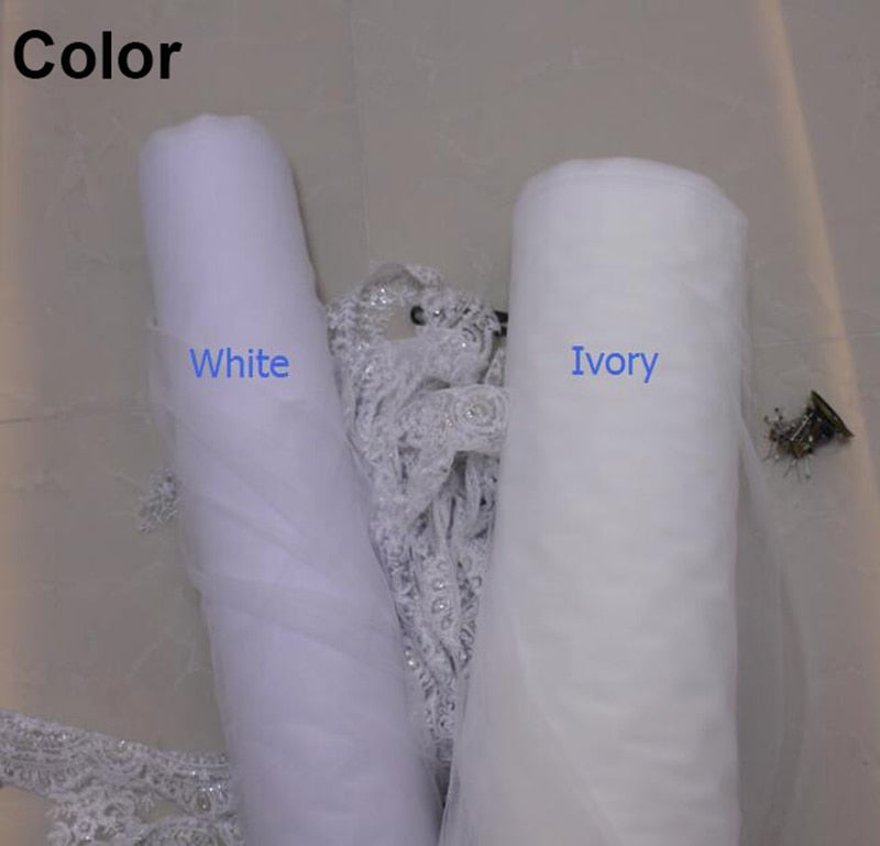 Cathedral Black Wedding Veil One Layer 3M