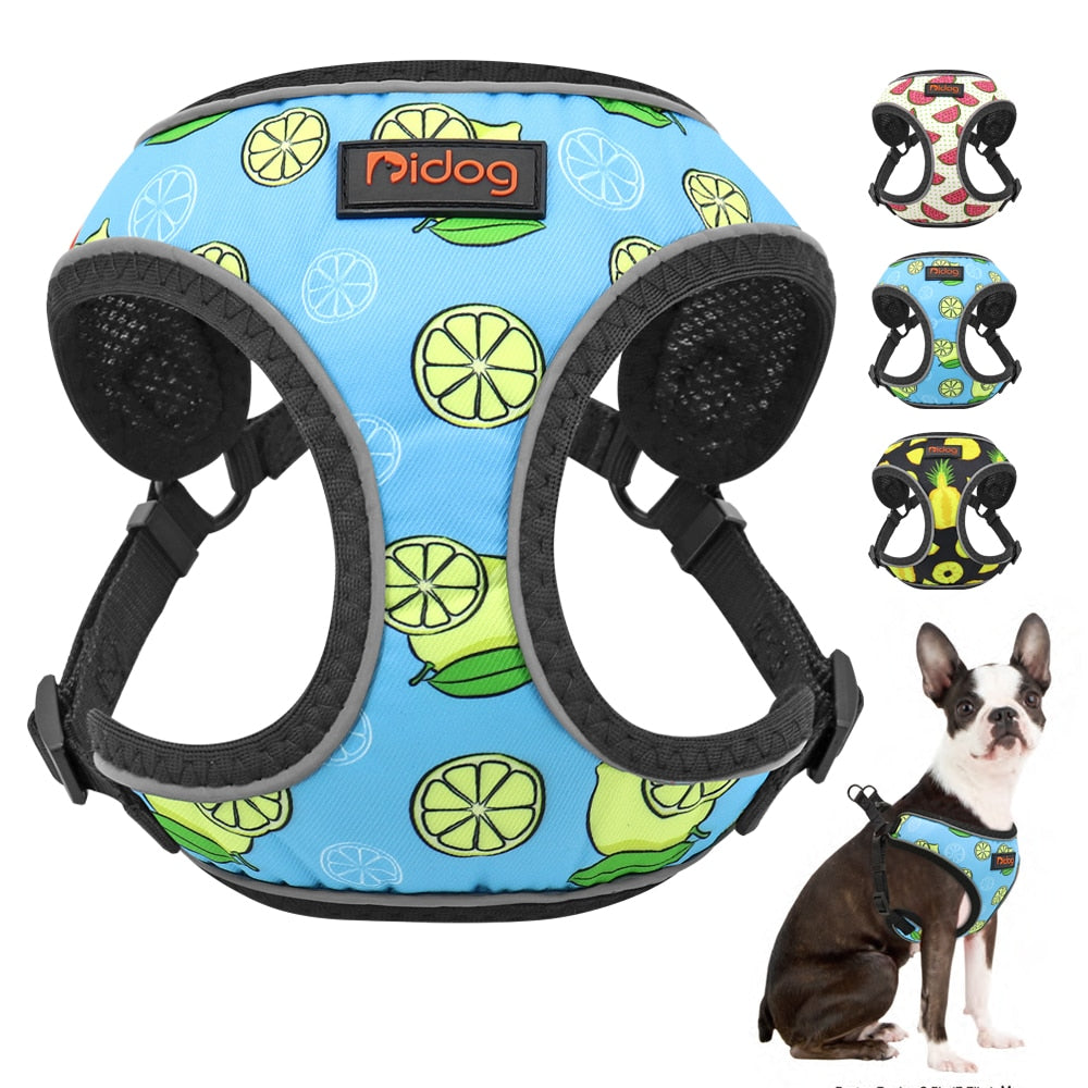 Dog Fruit Reflective Vest Harness