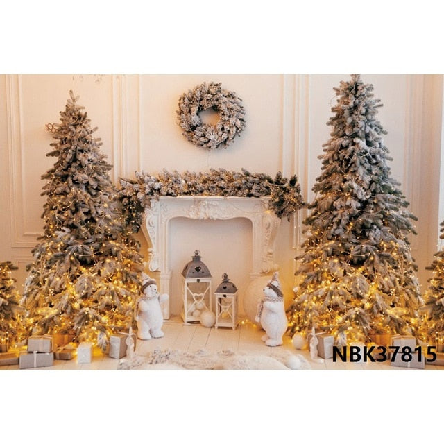 Christmas Backdrop Winter Photography Background