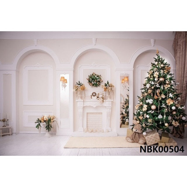 Christmas Backdrop Winter Photography Background