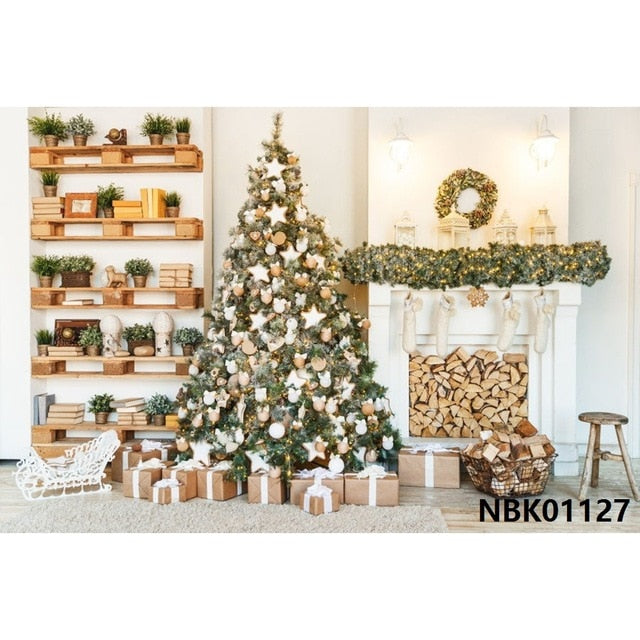 Christmas Backdrop Winter Photography Background