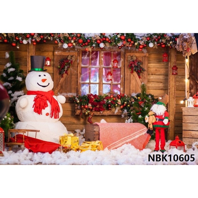 Christmas Backdrop Winter Photography Background