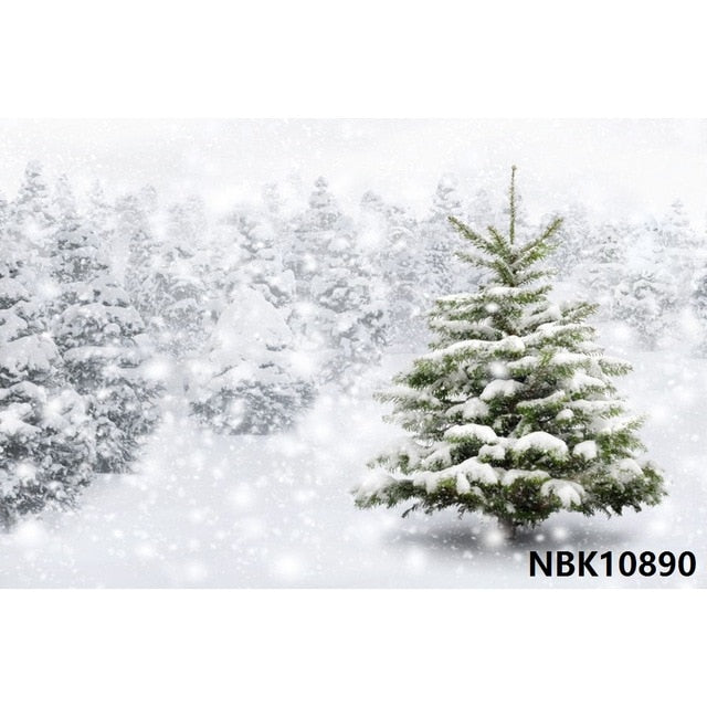 Christmas Backdrop Winter Photography Background