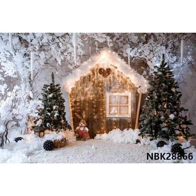 Christmas Backdrop Winter Photography Background