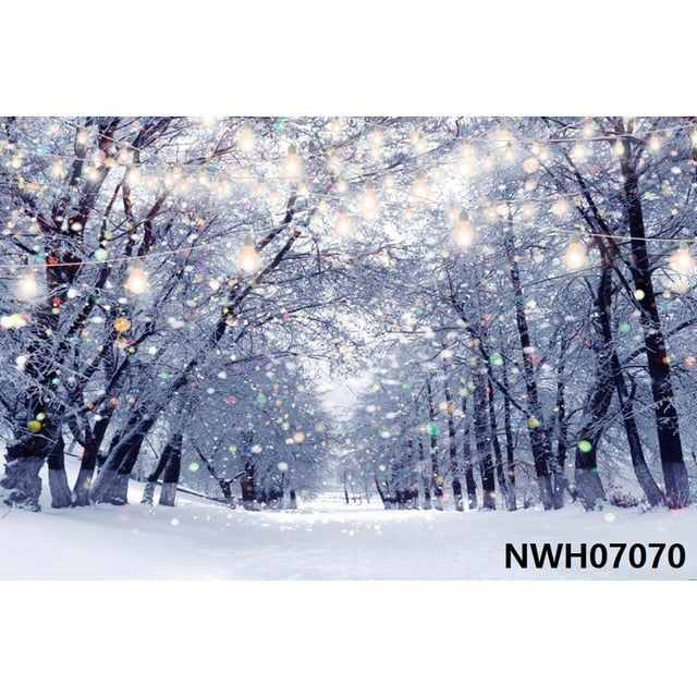 Christmas Backdrop Winter Photography Background