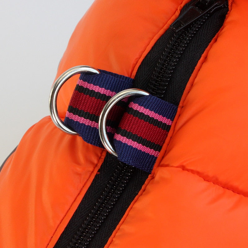 Winter Puffy Jacket for Small Dogs