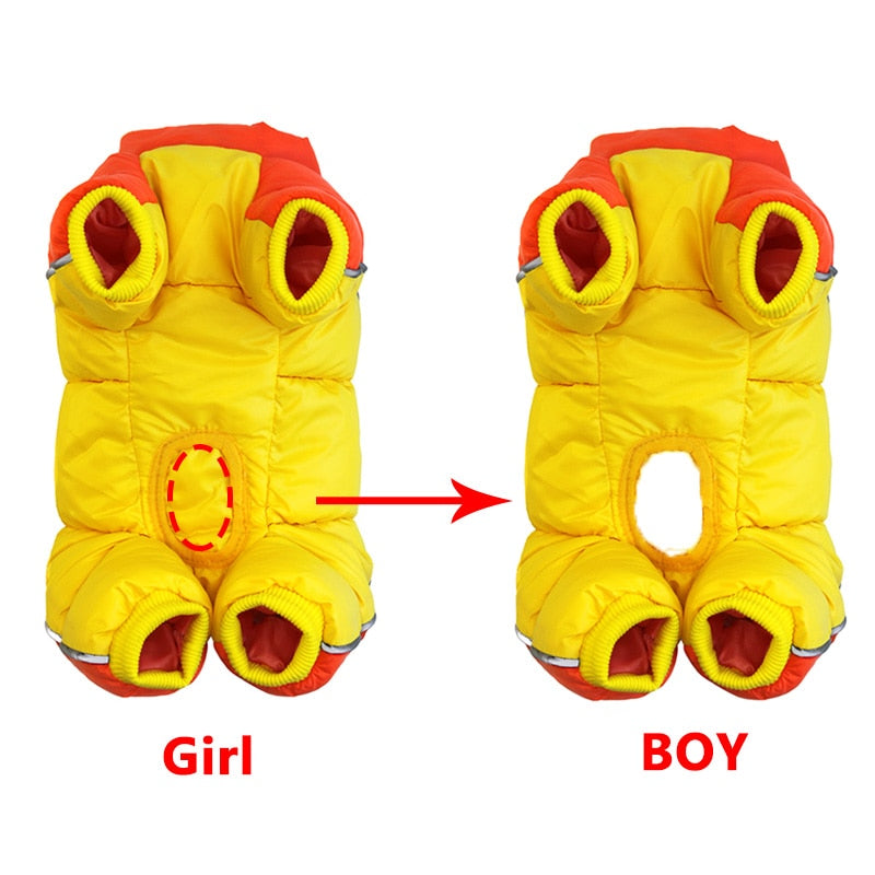 Winter Puffy Jacket for Small Dogs