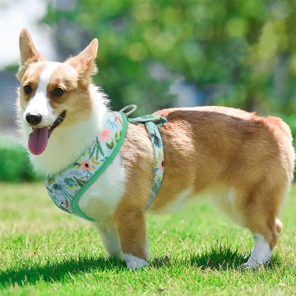 Tropical Flowers Printed Adjustable Pet Harness