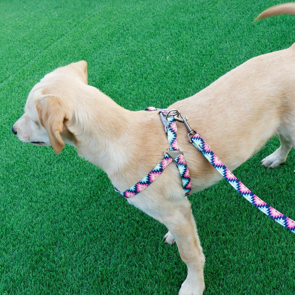 Colorful Adjustable Nylon Dog Harness Leash Set