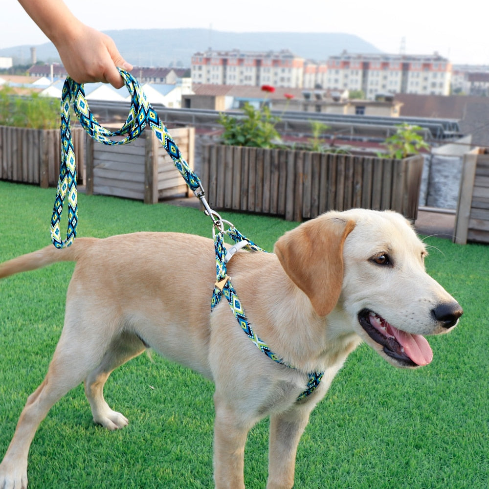 Colorful Adjustable Nylon Dog Harness Leash Set