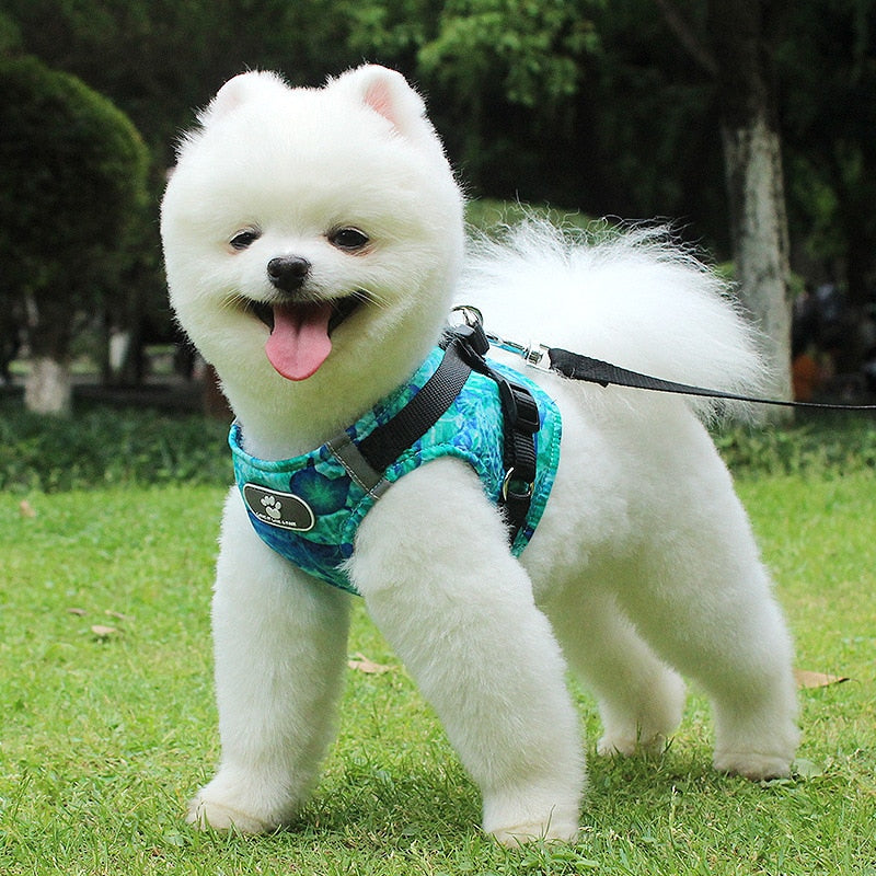 Dog Harness Vest Collar with Leash Set
