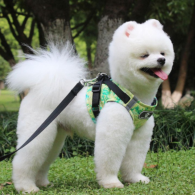 Dog Harness Vest Collar with Leash Set