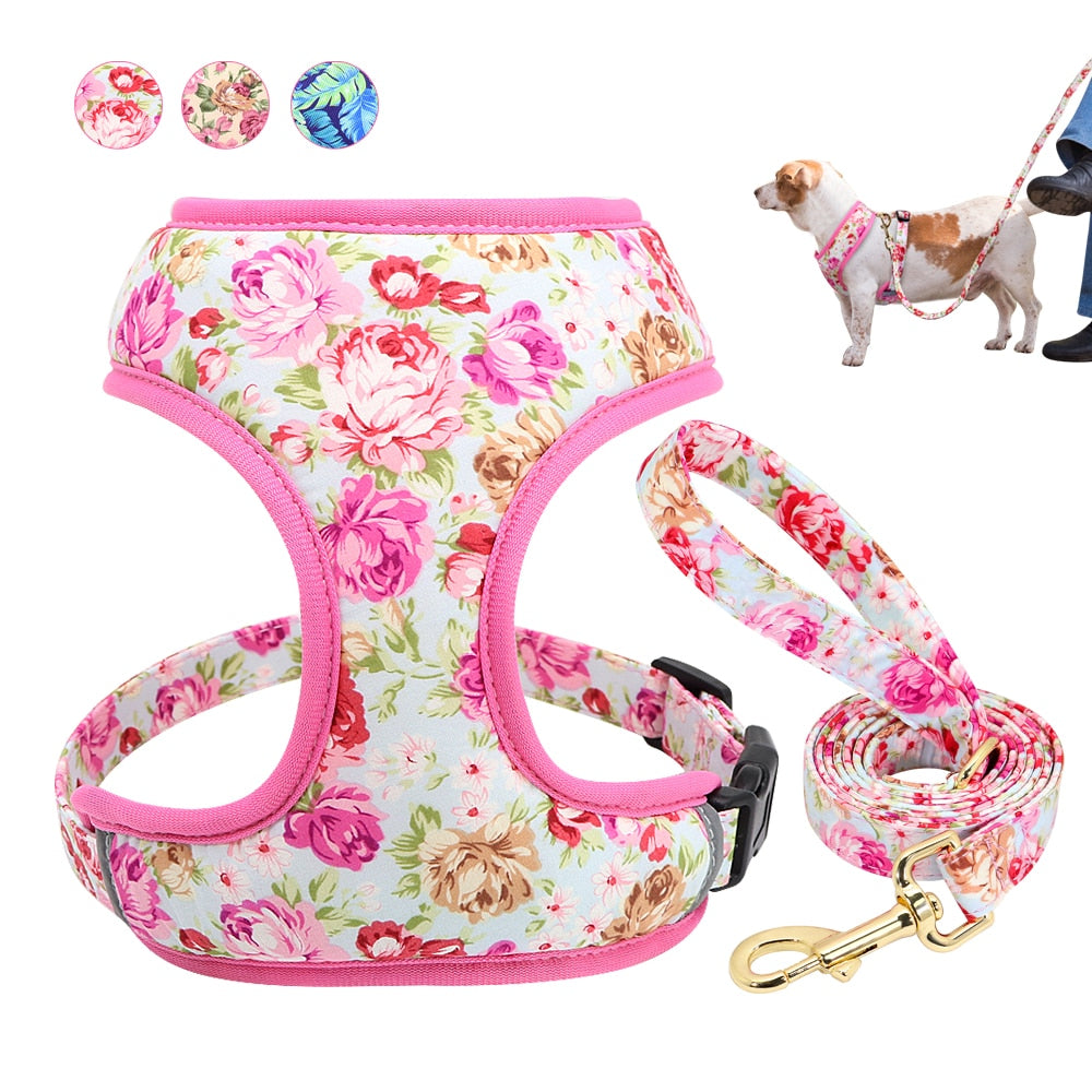 Roses Feathers Dog Harness Leash Set