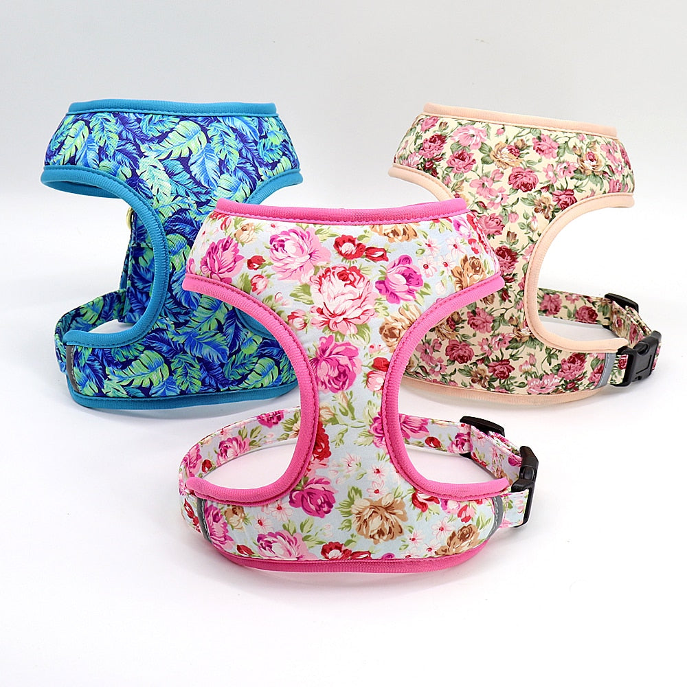 Roses Feathers Dog Harness Leash Set