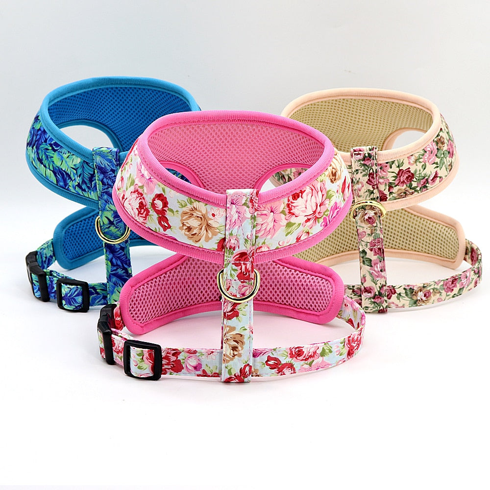 Roses Feathers Dog Harness Leash Set