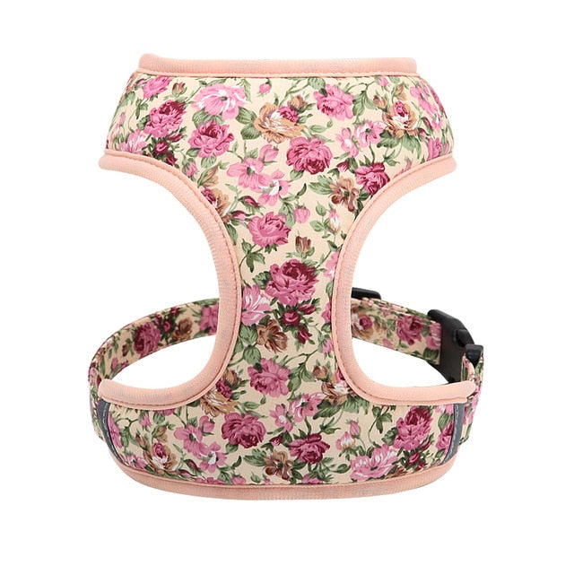 Roses Feathers Dog Harness Leash Set