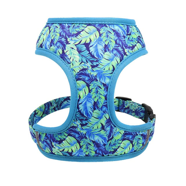 Roses Feathers Dog Harness Leash Set