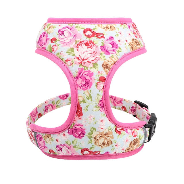 Roses Feathers Dog Harness Leash Set