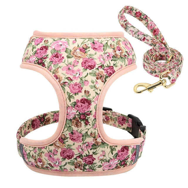 Roses Feathers Dog Harness Leash Set